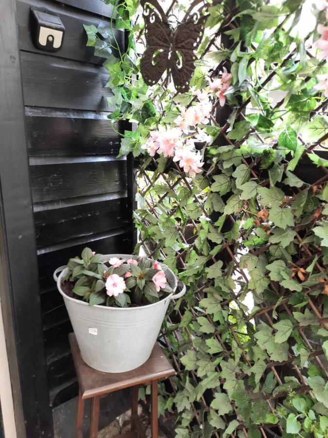 Anneke'S Bed En Botterhammeke Apartment Woensdrecht Ngoại thất bức ảnh